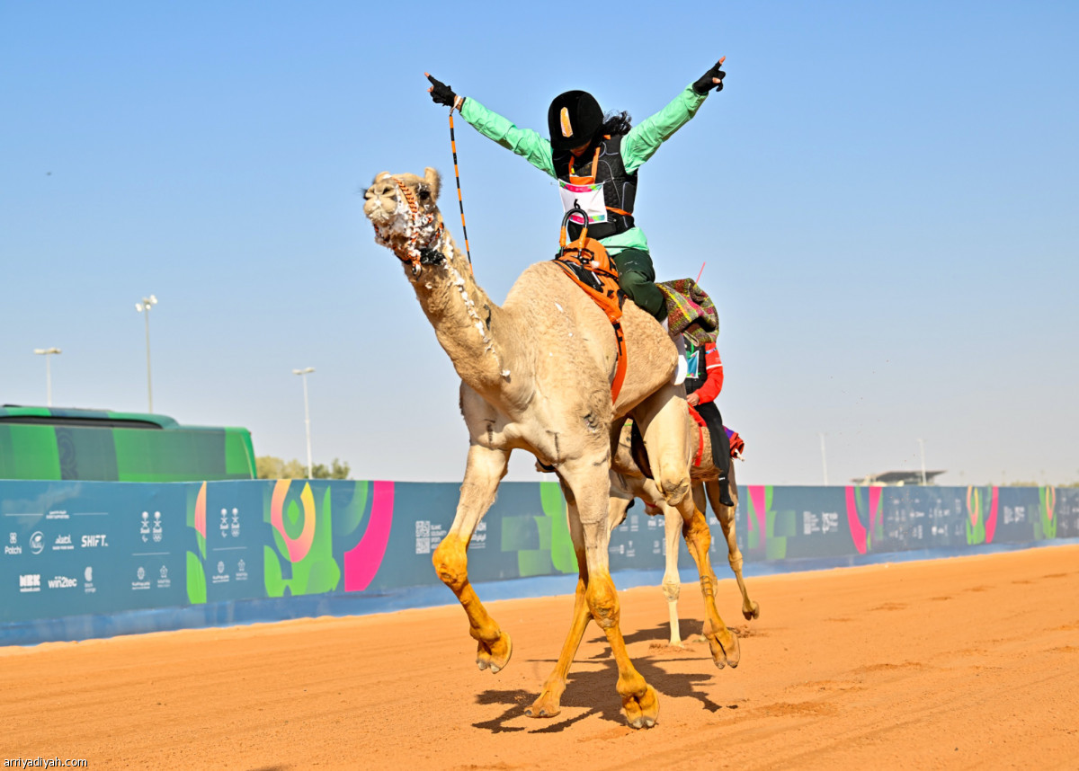 الهجن .. سيطرة سعودية