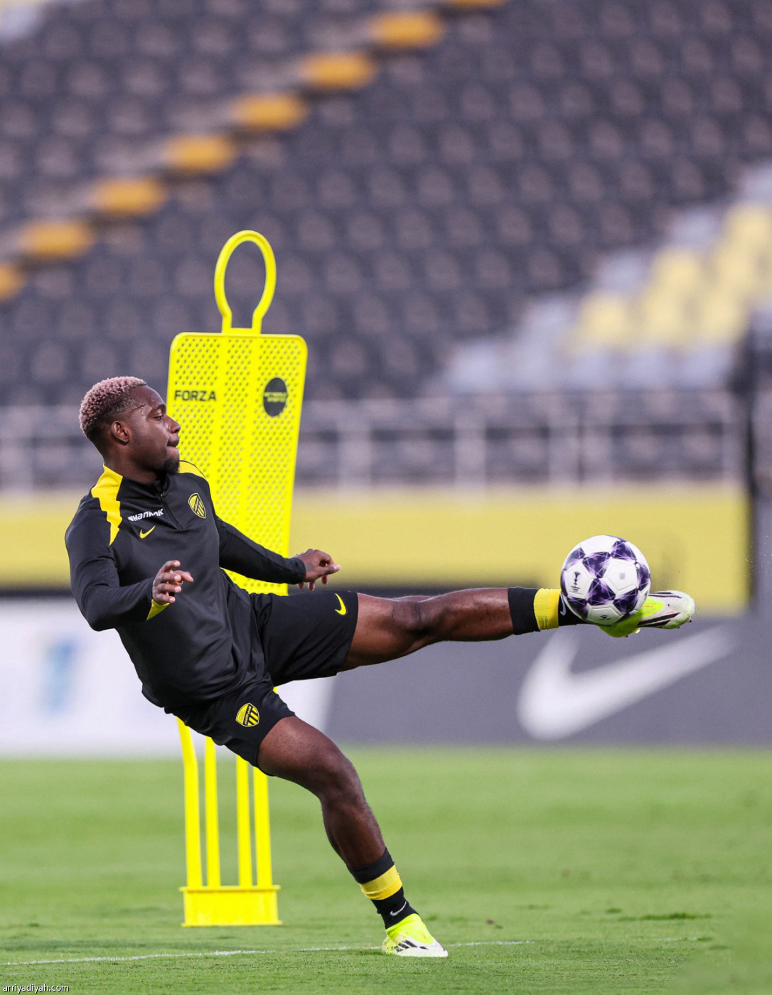 تحضيرات اتحادية