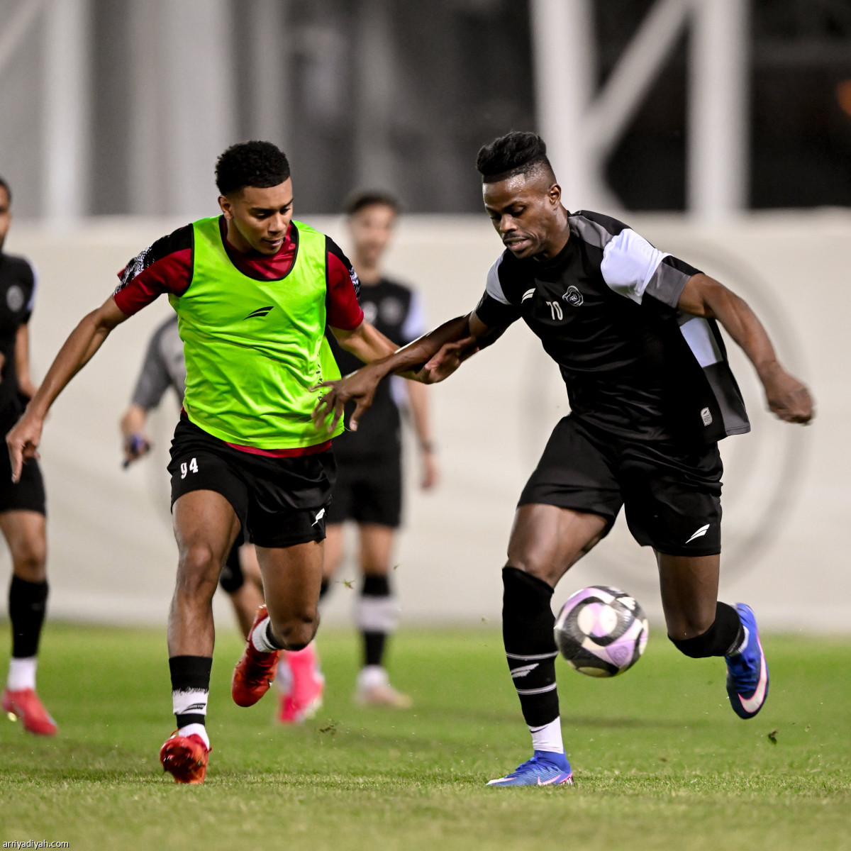 «الليوث» يناورون