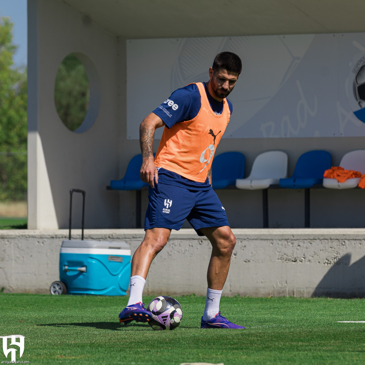 عودة الاستعدادات