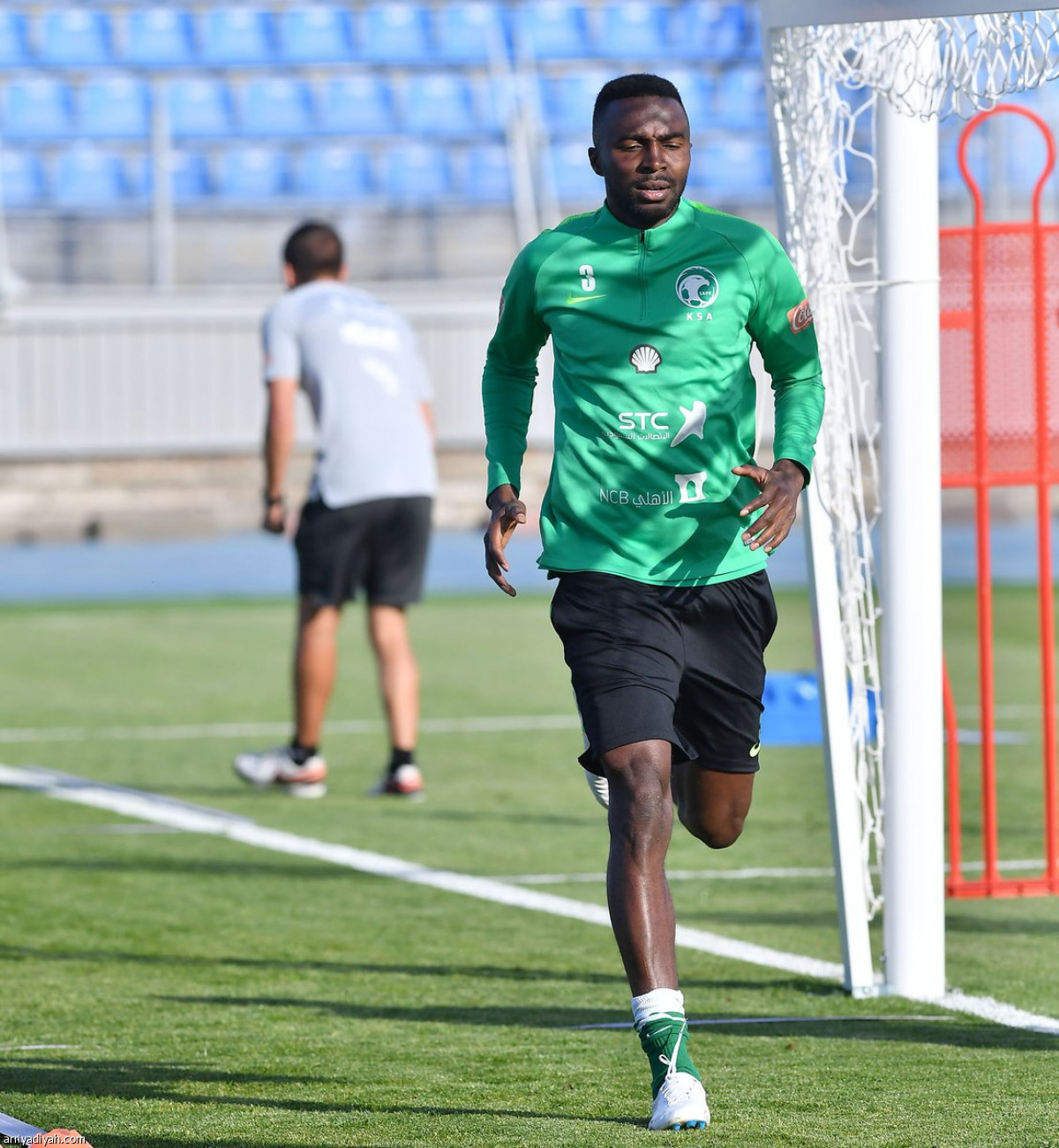 الأخضر  في سان بطرسبرج