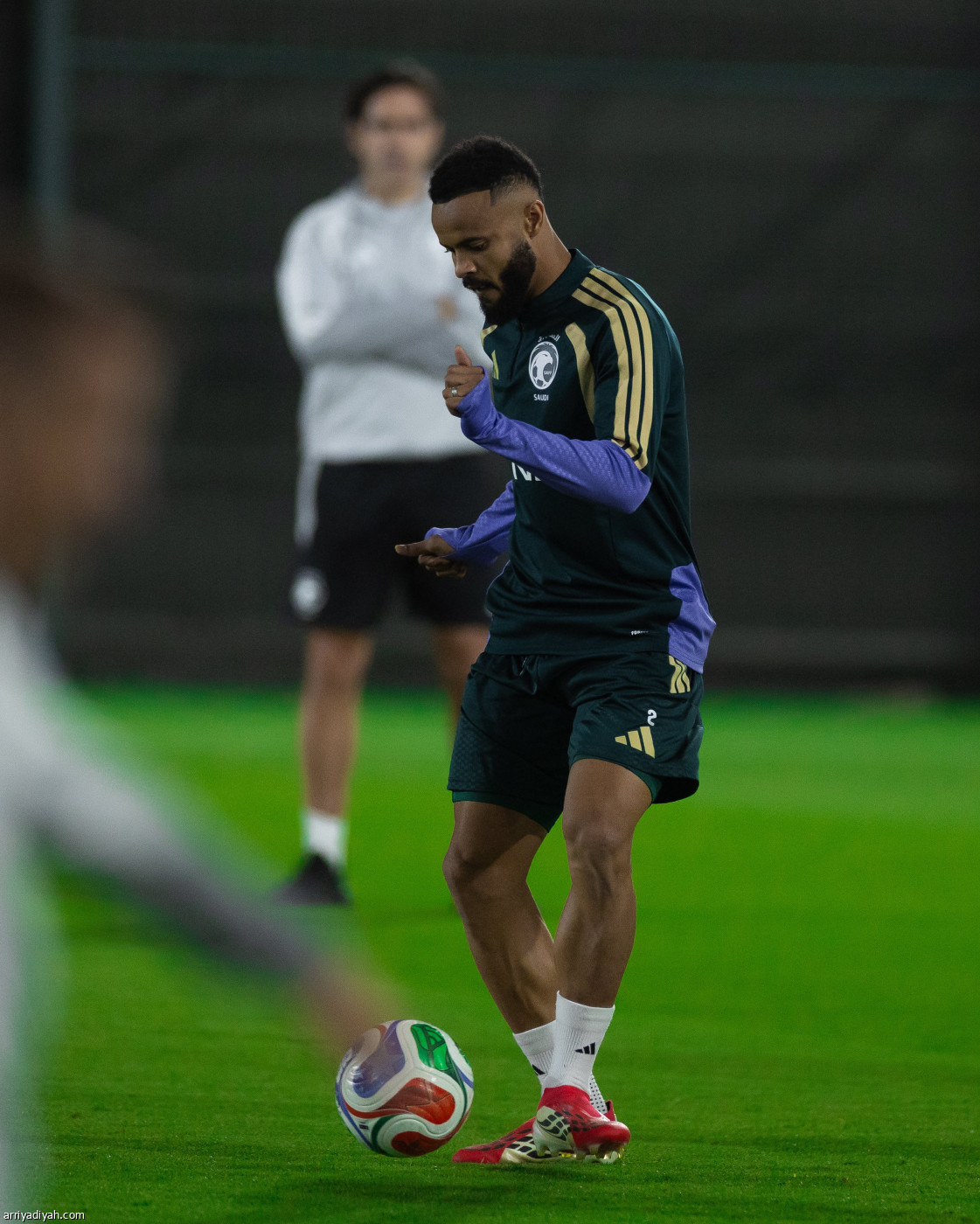 الصقور جاهزة