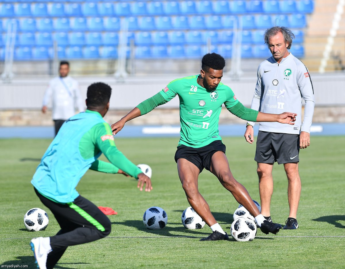 الأخضر  في سان بطرسبرج