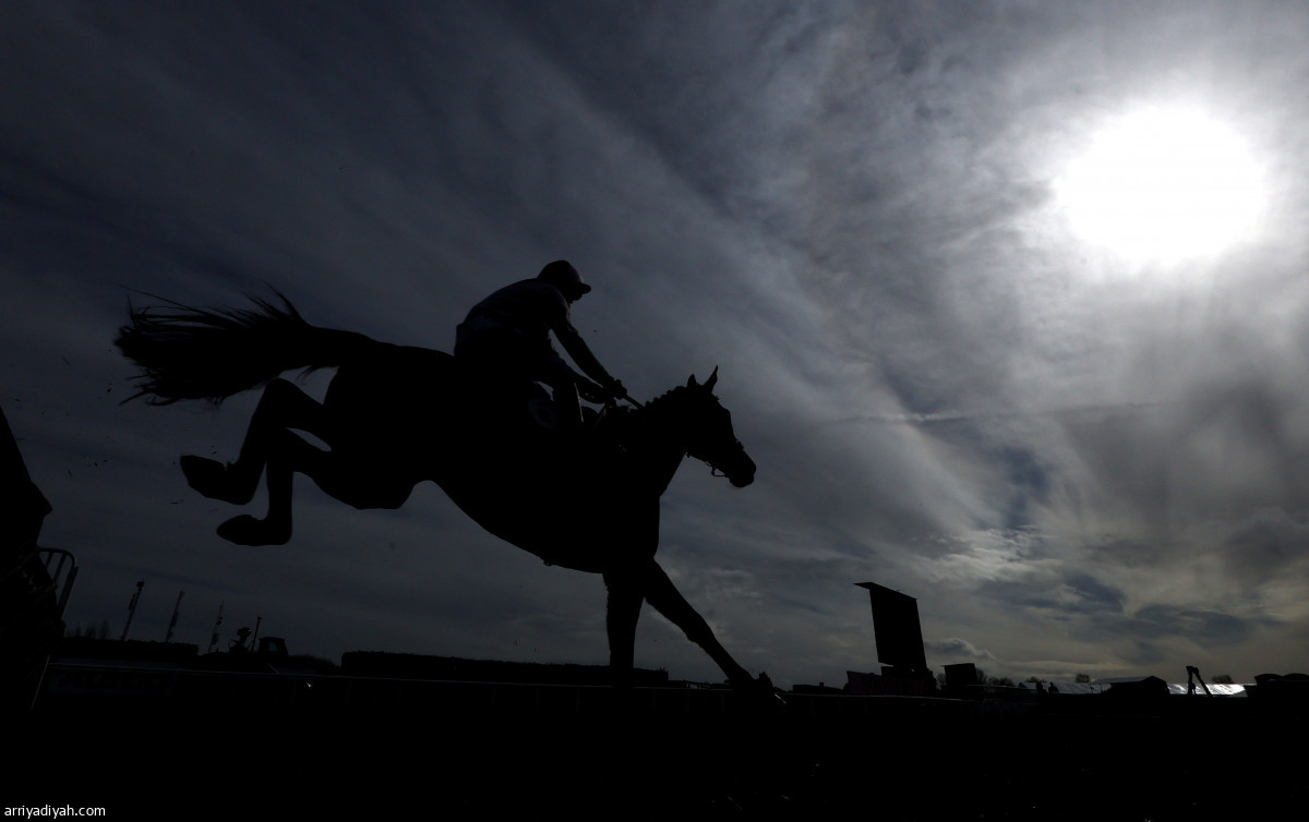 سباق شلتنهام