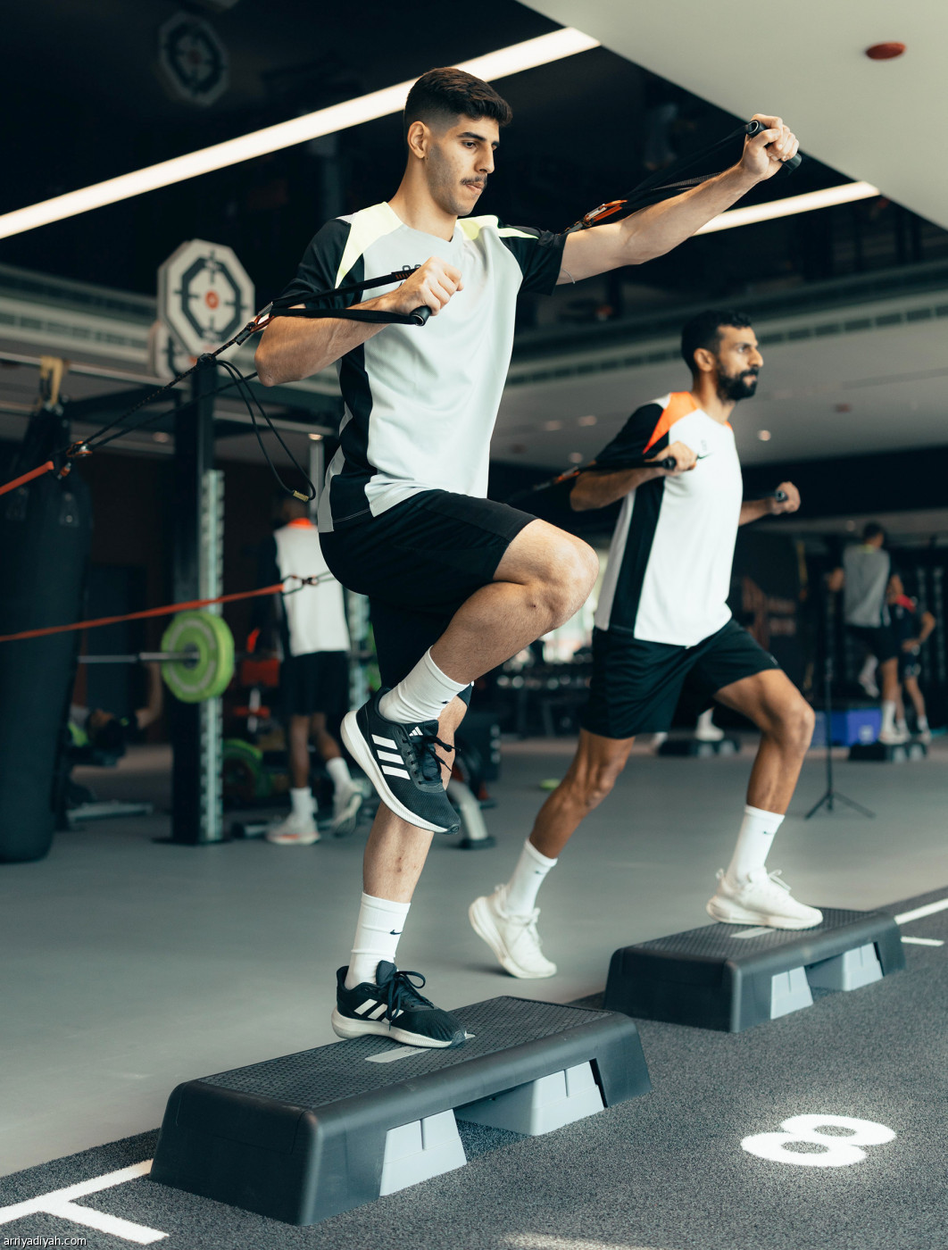 القادسية.. تقوية عضلات