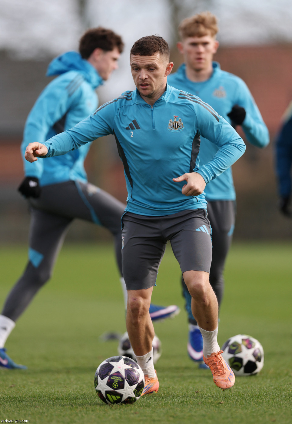 نيوكاسل جاهز