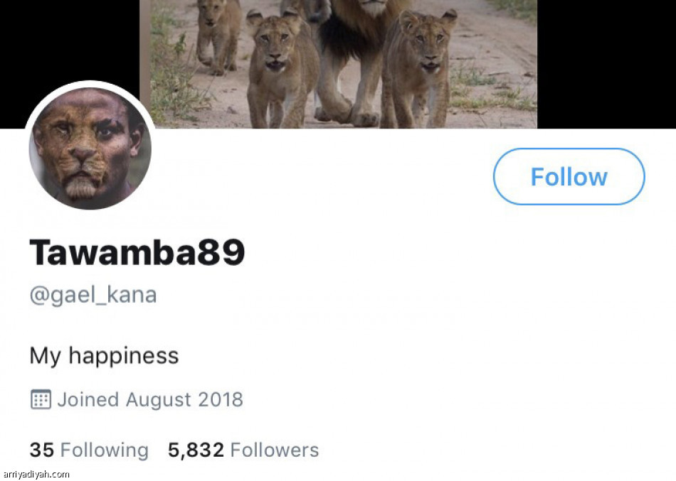 تاوامبا..
البداية.. تغريدة «عاش سلمان»