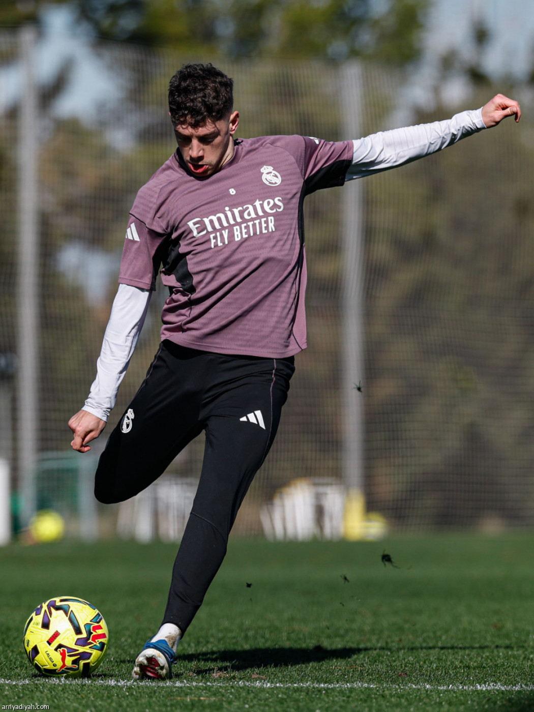 استعداد أخير