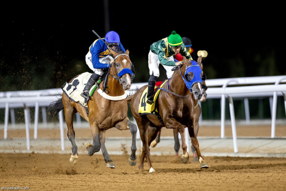 «نافذة» تحصد كأس مهرجان الورد الطائفي