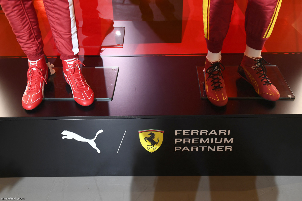 شراكة 20 عاما