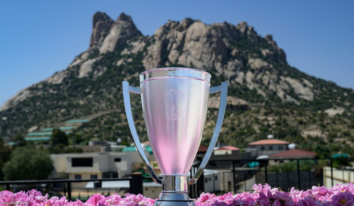 الكأس في «عروس المصايف»