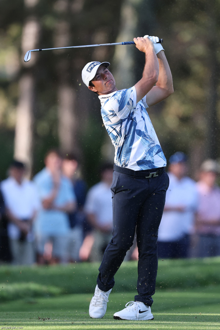 هوفلاند يسدد