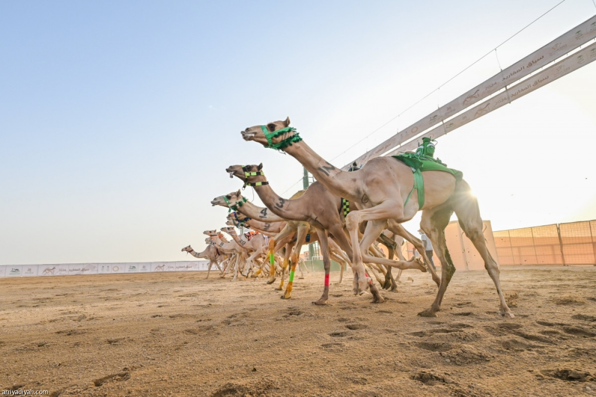 سباق المفاريد