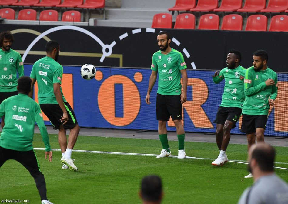 الأخضر جاهز لألمانيا