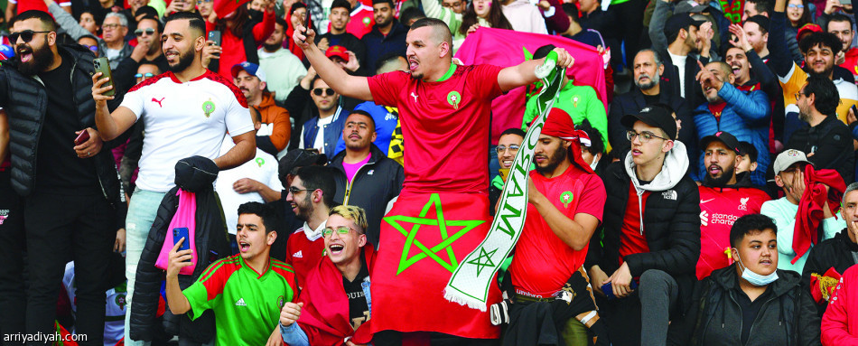 أسود التيرانجا 
يصلون المونديال