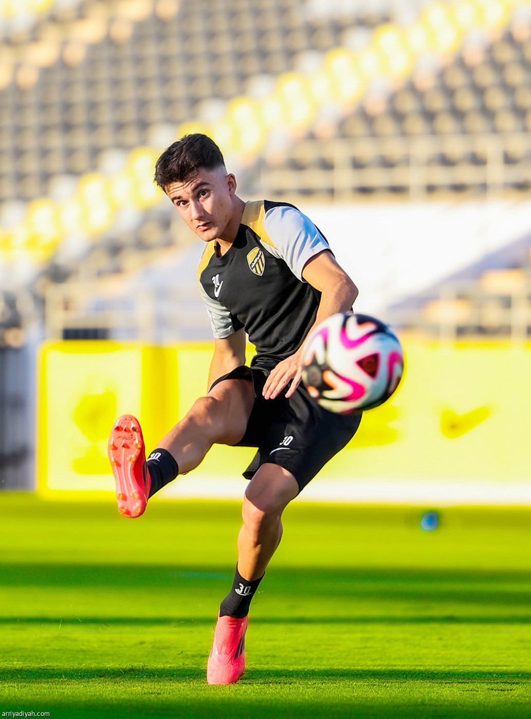 تحضيرات النمور