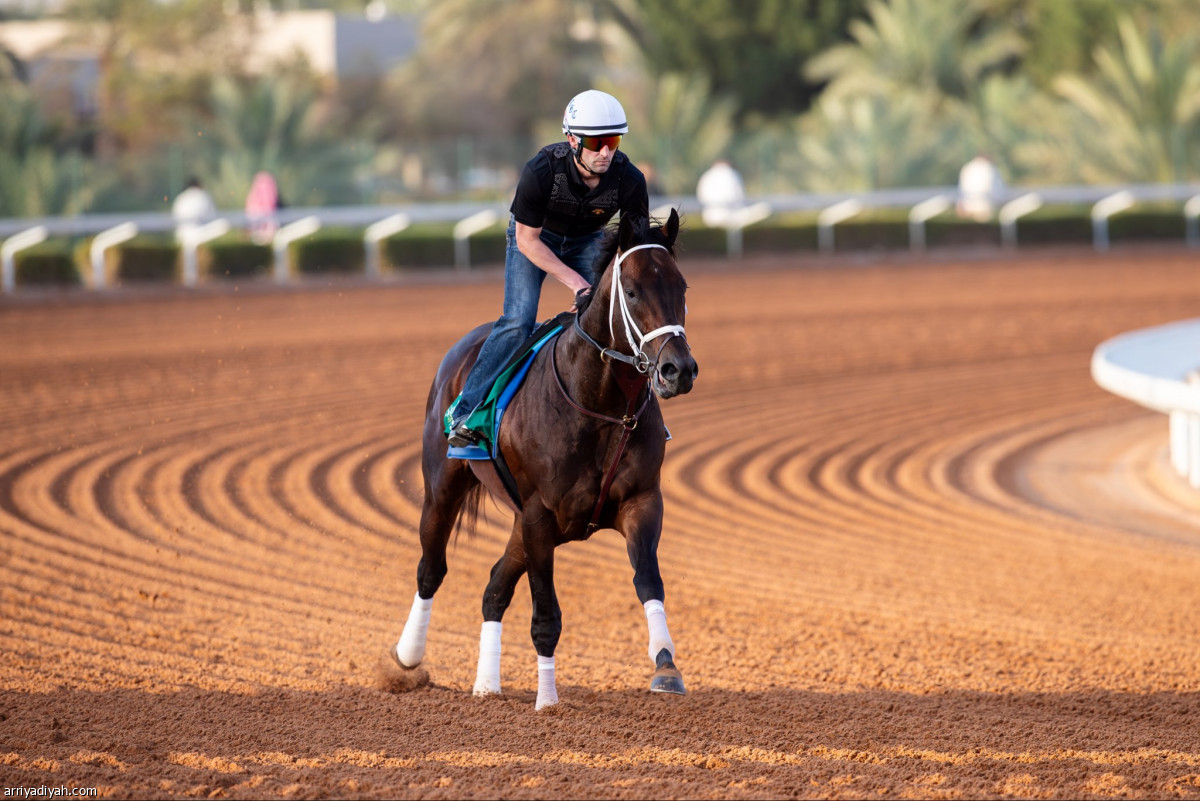 تدريبات مستمرة