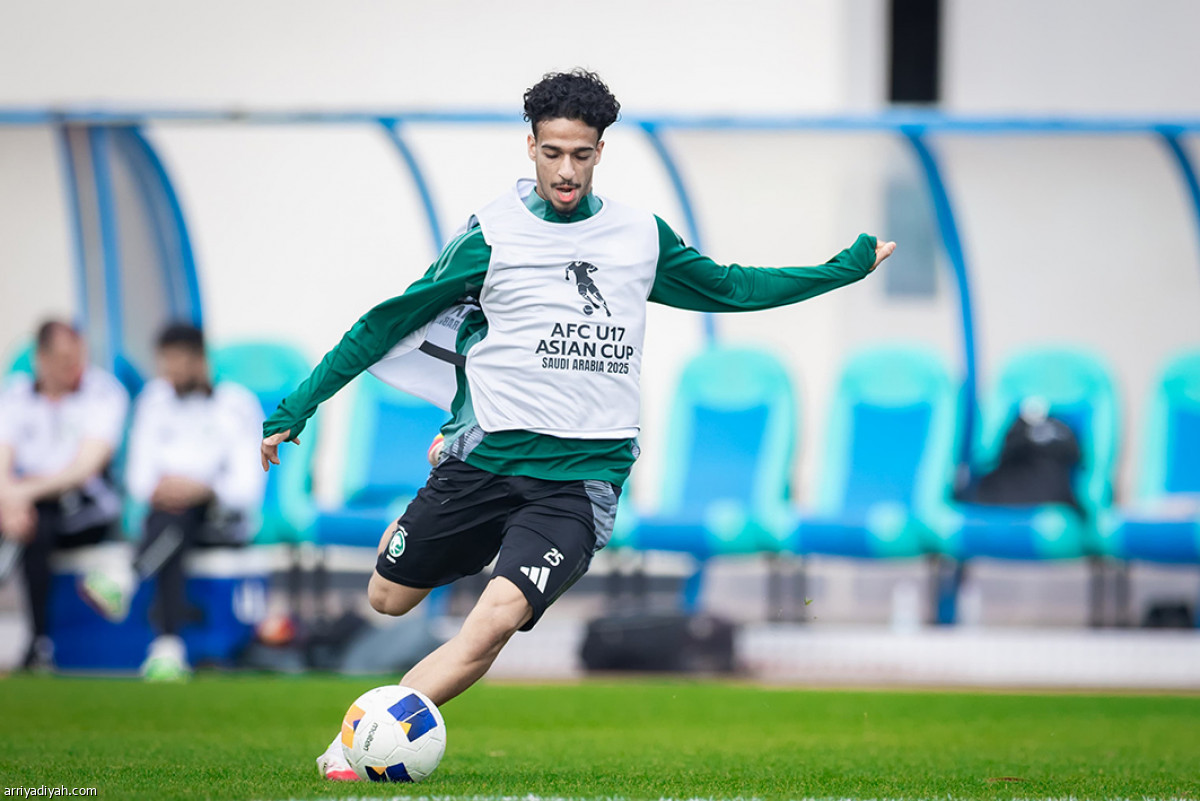 الصقور.. نهاية التحضيرات