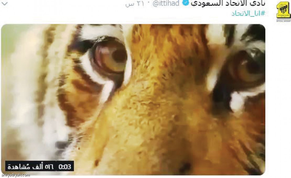 تويتر الاتحاد
احتفال صبّاحي