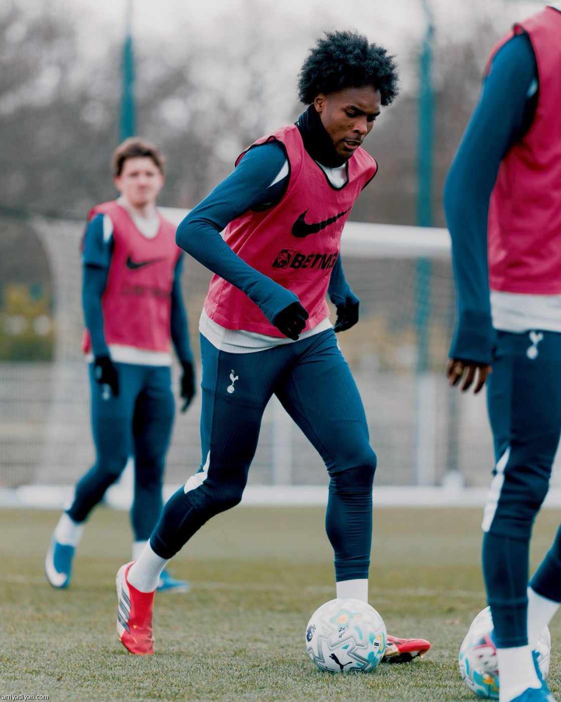 توتنام ينهي التحضيرات