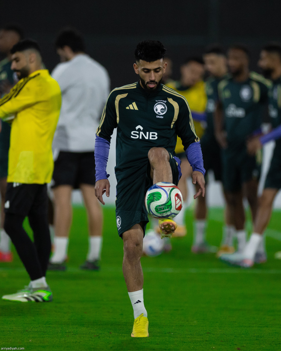 الصقور جاهزة