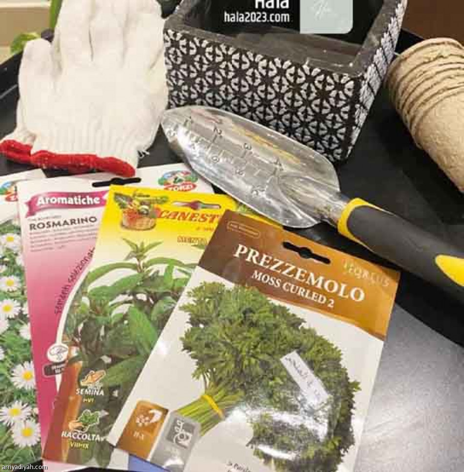 الحزن.. 
انطلاقة «حلا»