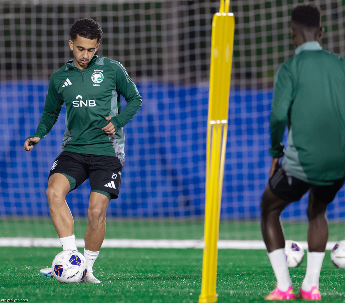 إطلالة الصقور