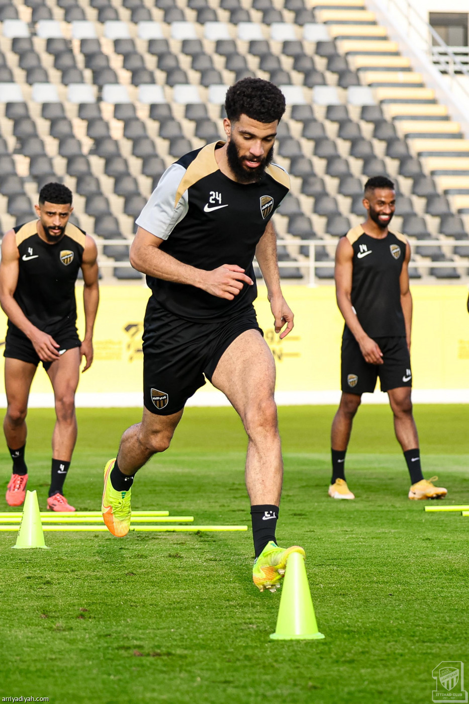 تحضيرات النمور