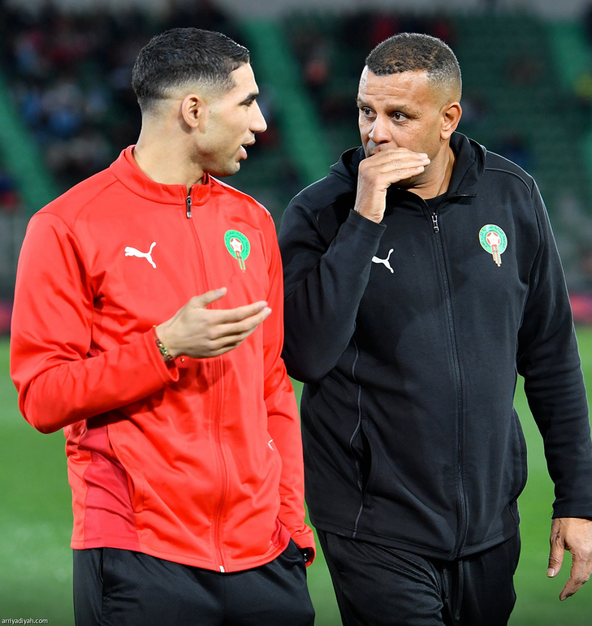 المغربي في «الشرفي»