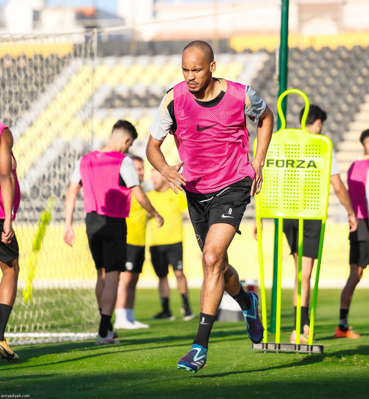 «النمور» تعاود الركض