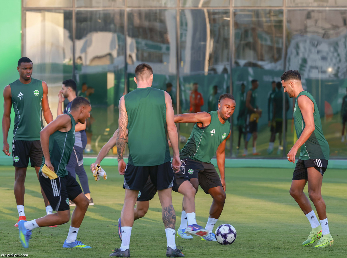 حامل اللقب جاهز