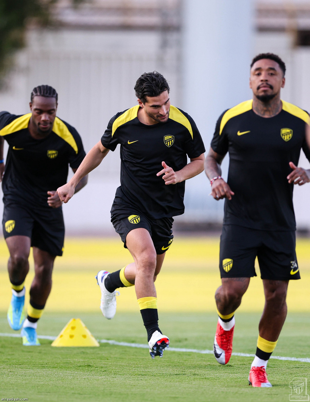 «النمور» تكمل التحضيرات